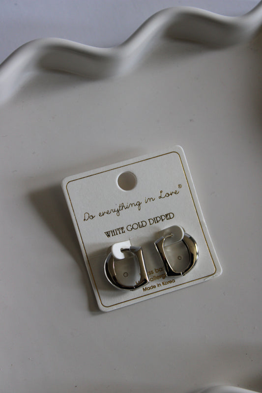 silver small earings